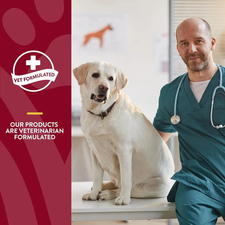 NATURVET - NaturVet Cranberry Relief Plus Echinacea Powder 50Gr. - The Red Vitamin MX - Salud De Tracto Urinario Para Perros - {{ shop.shopifyCountryName }}