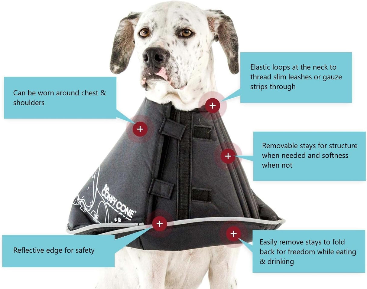 All Four Paws Comfy Cone Pet Cone for Dogs BLACK XXLARGE