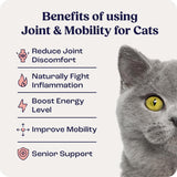 Summit Feline Pain Relief Supplement Inflammation Hip & Joint Support Vitamin for Cats 6Ml.