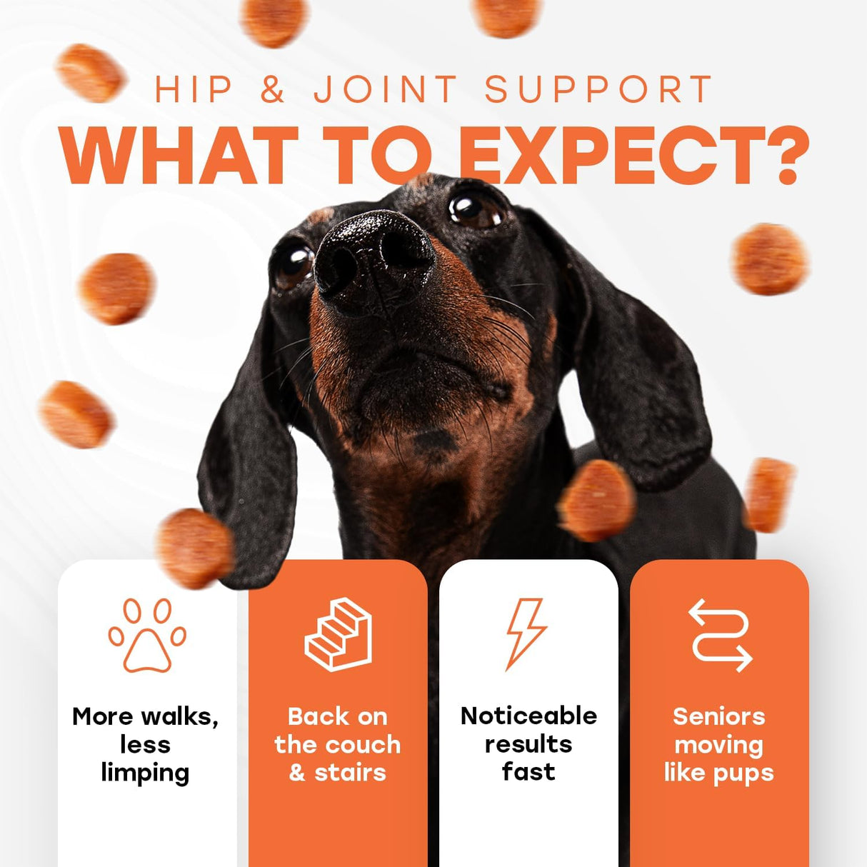 Pup Choice Hip & Joint Support Treats for Dogs Beef Flavor 140 Masticables