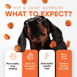 Pup Choice Hip & Joint Support Treats for Dogs Beef Flavor 140 Masticables