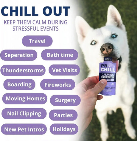 UNDER THE WEATHER - Under the Weather Pet PB & CHILL Dog Peanut Butter Dog Treats 6 Pack - The Red Vitamin MX - Relajantes Para Perros - {{ shop.shopifyCountryName }}