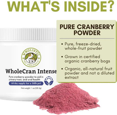 WHOLISTIC PET ORGANICS - Wholistic Pet Organics WholeCran Intense: Organic Cranberry Powder for Dogs 28Gr. - The Red Vitamin MX - Salud De Tracto Urinario Para Perros - {{ shop.shopifyCountryName }}