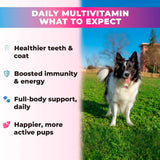 PUP CHOICE - Pup Choice 14-in-1 Multivitamin Treats for Dogs Beef Flavor 140 Masticables - The Red Vitamin MX - Multivitamínicos Para Perros - {{ shop.shopifyCountryName }}