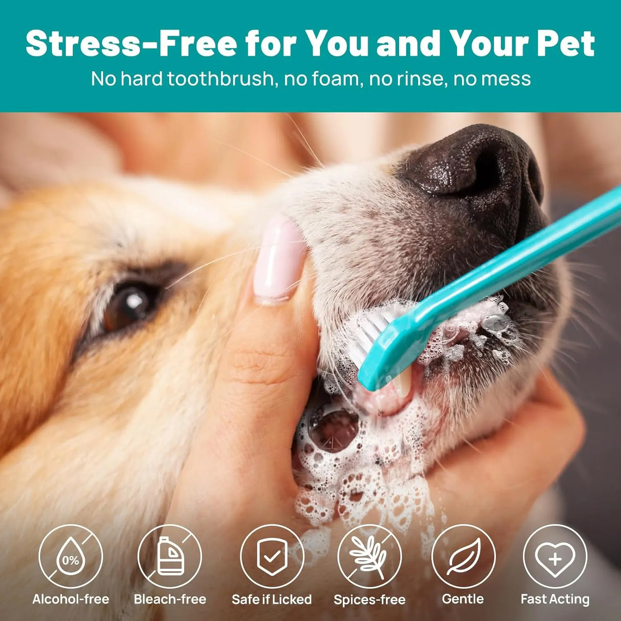 SMILEDENX - SmileDenX Dog Dental Care Finger Wipes Honey Scent 50 Toallitas - The Red Vitamin MX - Cuidado Dental Para Perros - {{ shop.shopifyCountryName }}