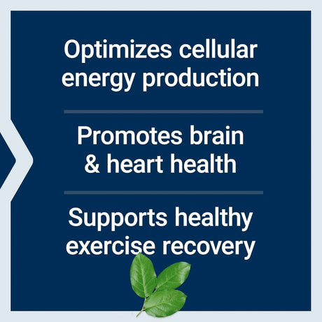 LIFE EXTENSION - Life Extension Optimized Carnitine 60 Capsulas - The Red Vitamin MX - Suplementos Alimenticios - {{ shop.shopifyCountryName }}