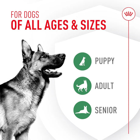 ROYAL CANIN - Royal Canin Probiotics for Dogs 30 Paquetes - The Red Vitamin MX - Probióticos Para Perros - {{ shop.shopifyCountryName }}