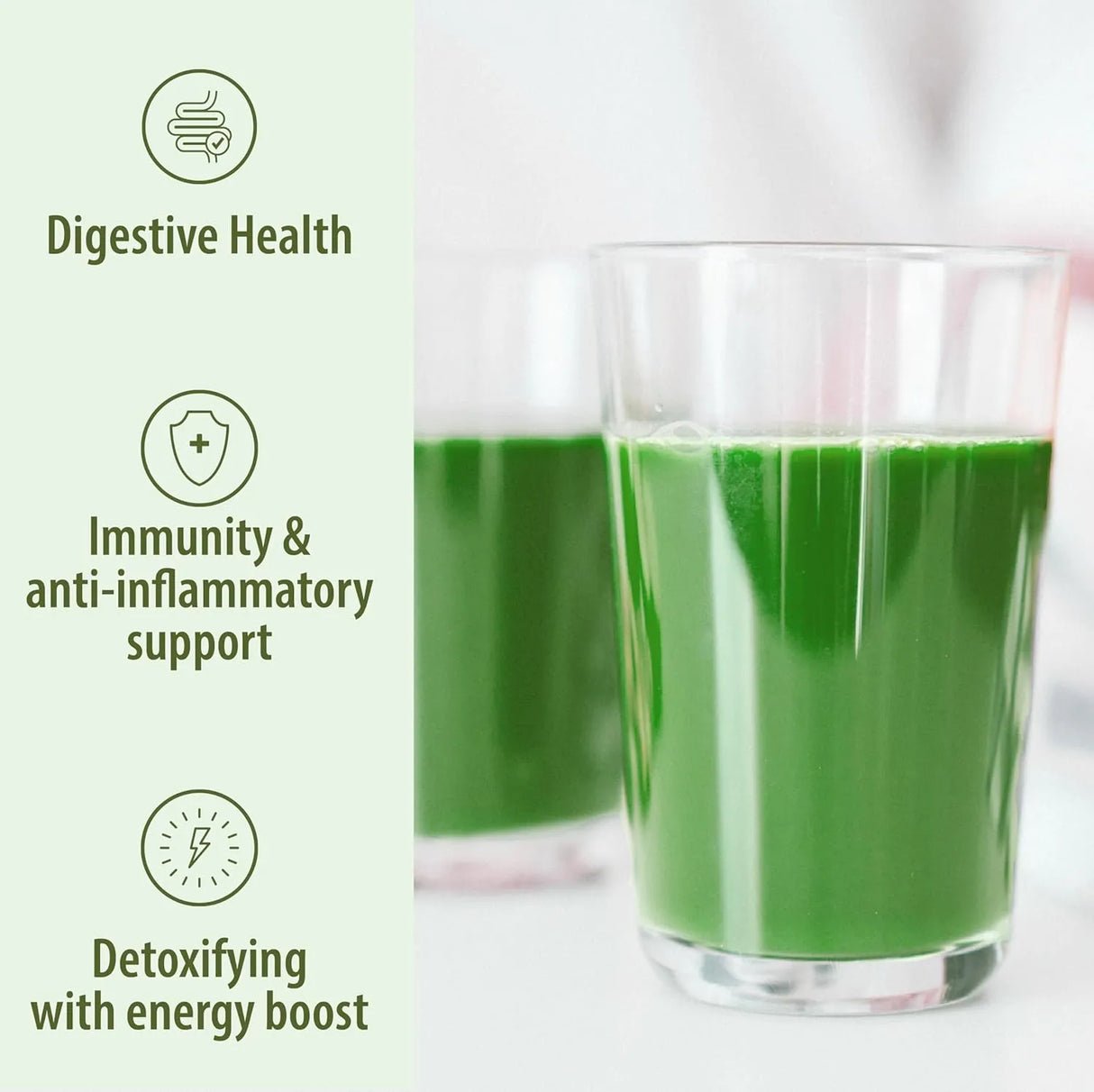 ORGANIC TRADITIONS - Organic Traditions Organic Wheat Grass Powder 150Gr. - The Red Vitamin MX - Suplementos Alimenticios - {{ shop.shopifyCountryName }}
