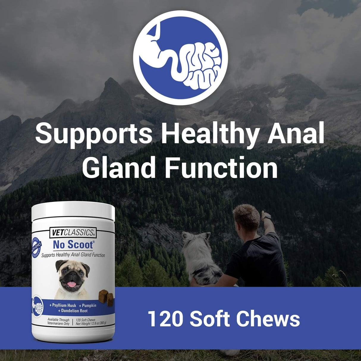 Vet Classics No Scoot Dog Supplements for Healthy Anal Gland Function 120 Masticables