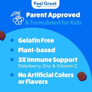 FEEL GREAT - Feel Great Kids Elderberry Gummies with Zinc and Vitamin C 90 Gomitas - The Red Vitamin MX - Suplementos Alimenticios - {{ shop.shopifyCountryName }}