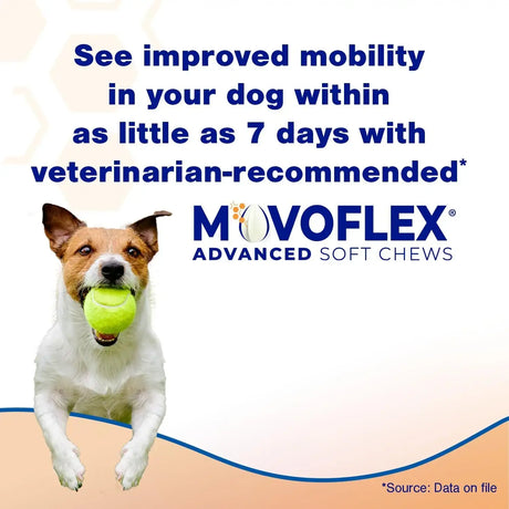 VIRBAC - Virbac MOVOFLEX Advanced Soft Chews Hip Joint Support for Small Dogs 60 Masticables - The Red Vitamin MX - Cuidado De Cadera Y Articulaciones Para Perros - {{ shop.shopifyCountryName }}