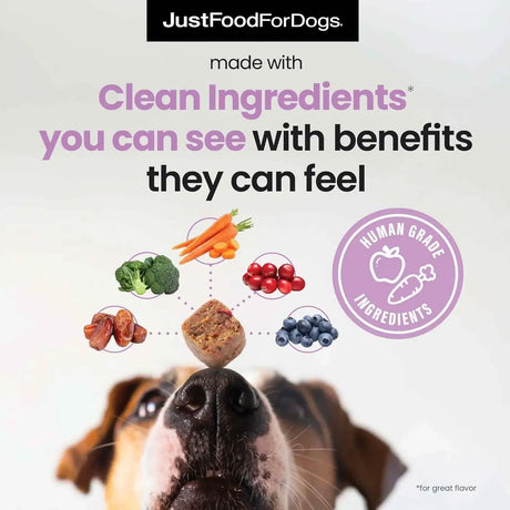 JUSTFOODFORDOGS - JustFoodForDogs Probiotic Booster Gut Health Soft Chews 45 Masticables - The Red Vitamin MX - Probióticos Para Perros - {{ shop.shopifyCountryName }}