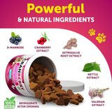 ARTULLANO - Artullano Dog UTI Treatment 120 Masticables - The Red Vitamin MX - Salud De Tracto Urinario Para Perros - {{ shop.shopifyCountryName }}