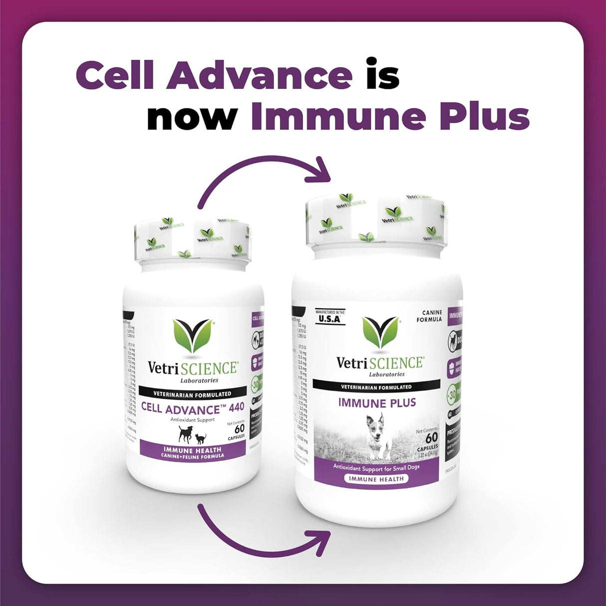 VetriScience Immunity Health Easy-Open Capsules 60 Capsulas