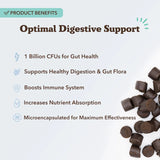 NATURAL DOG COMPANY - Natural Dog Company Probiotic Chews for Dogs Chicken Flavor 45 Masticables - The Red Vitamin MX - Probióticos Para Perros - {{ shop.shopifyCountryName }}