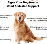 Kayode Joint & Recovery 2-in-1 Joint & Muscle Chews 90 Masticables