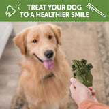 WELLNESS WHIMZEES - Whimzees Wellness Alligator Dog Dental Treats Large Size 6 Piezas - The Red Vitamin MX - Cuidado Dental Para Perros - {{ shop.shopifyCountryName }}