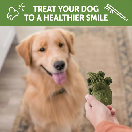WELLNESS WHIMZEES - Whimzees Wellness Alligator Dog Dental Treats Large Size 6 Piezas - The Red Vitamin MX - Cuidado Dental Para Perros - {{ shop.shopifyCountryName }}
