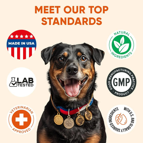 PAWZITIVE PETS - Pawzitive Pets Dog Multivitamin Chews 120 Masticables - The Red Vitamin MX - Multivitamínicos Para Perros - {{ shop.shopifyCountryName }}