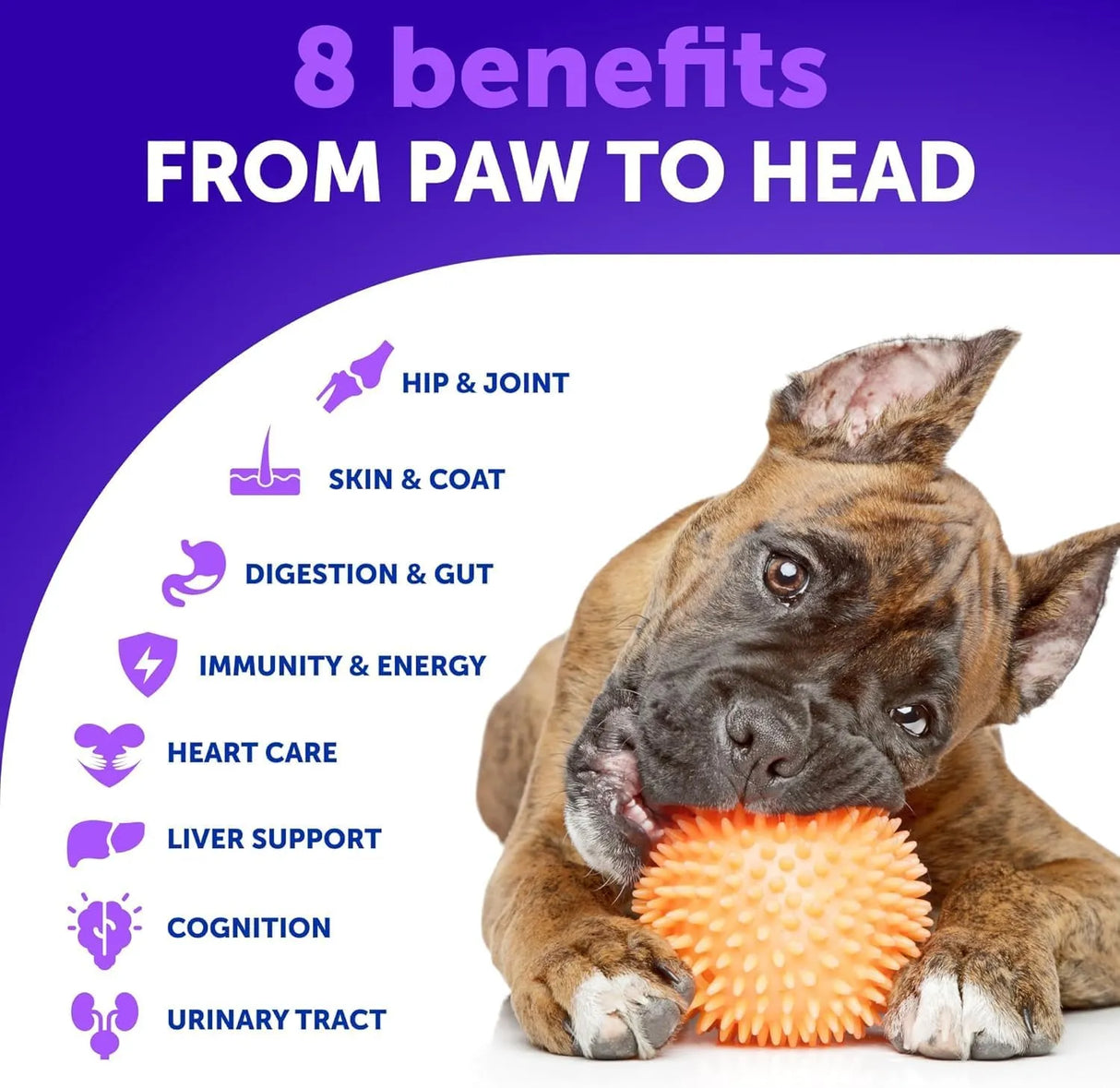 ARTULLANO - Artullano Dog Multivitamin Chewable with Glucosamine 20 in 1 70 Masticables - The Red Vitamin MX - Multivitamínicos Para Perros - {{ shop.shopifyCountryName }}