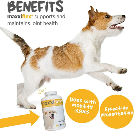 MAXXIPAWS - maxxipaws maxxiflex+ Hip & Joint Supplement for Dogs 60 Tabletas - The Red Vitamin MX - Cuidado De Cadera Y Articulaciones Para Perros - {{ shop.shopifyCountryName }}