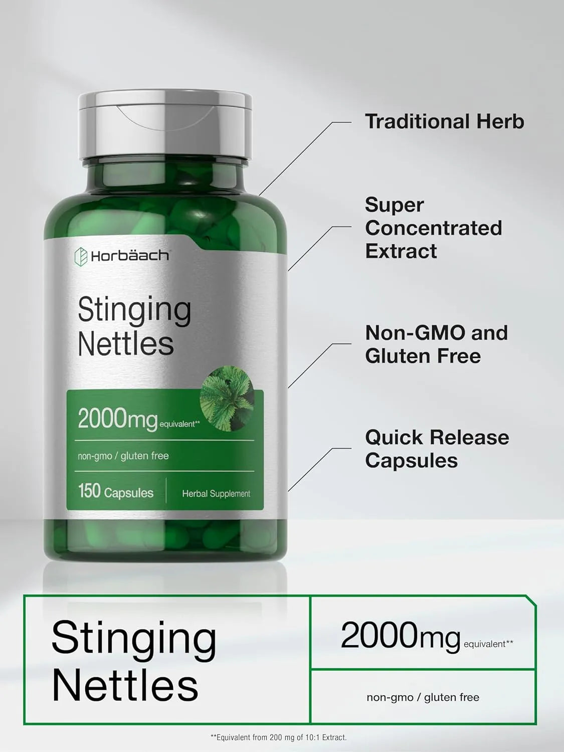 HORBAACH - Horbaach Stinging Nettle 2000Mg. 150 Capsulas - The Red Vitamin MX - Suplementos Alimenticios - {{ shop.shopifyCountryName }}