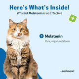 Pet Wellbeing Pet Melatonin for Cats 2 Fl.Oz.