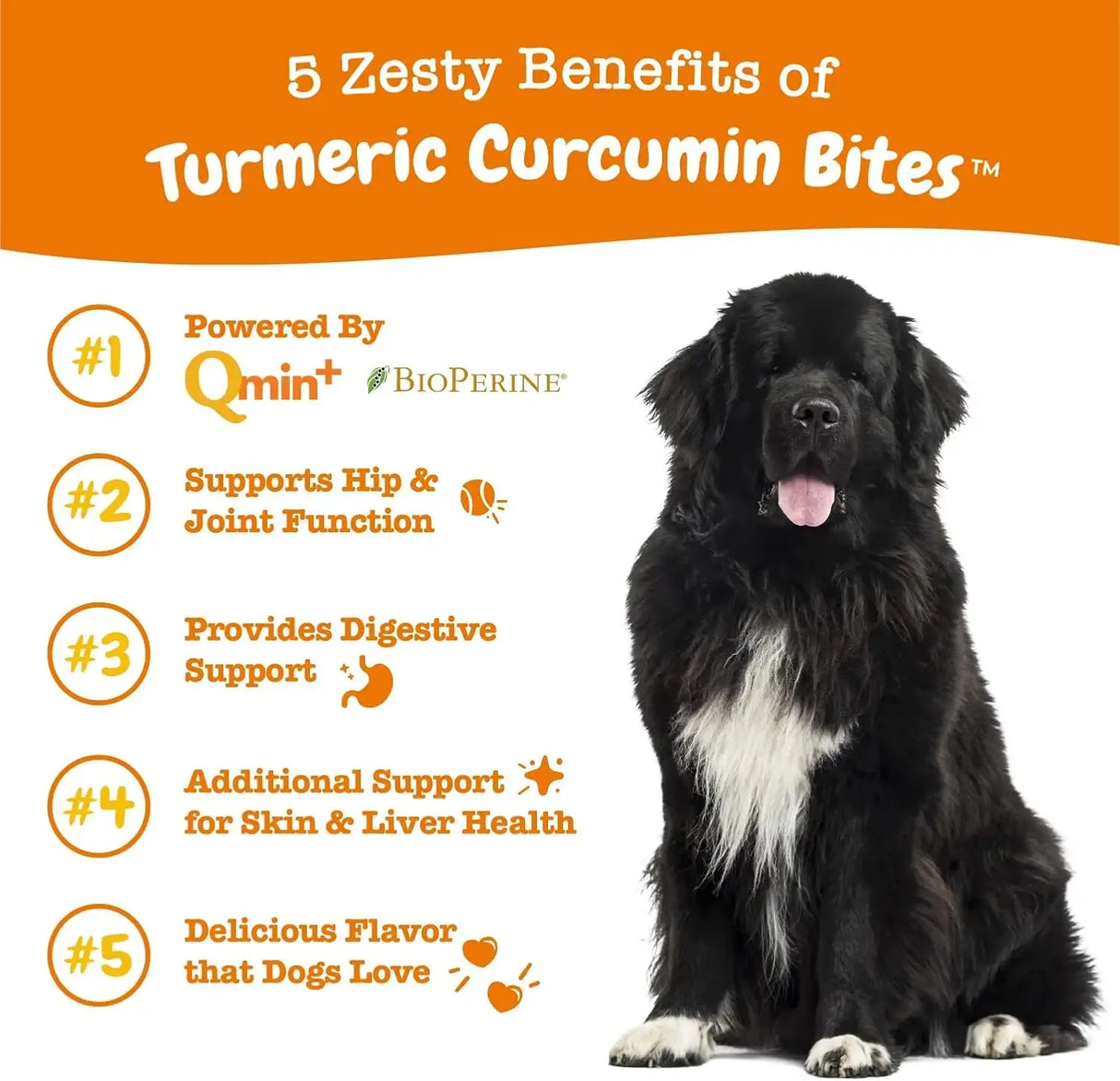 ZESTY PAWS - Zesty Paws Turmeric Curcumin for Dogs Duck Flavor 90 Masticables - The Red Vitamin MX - Cuidado De Cadera Y Articulaciones Para Perros - {{ shop.shopifyCountryName }}