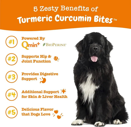 ZESTY PAWS - Zesty Paws Turmeric Curcumin for Dogs Duck Flavor 250 Masticables - The Red Vitamin MX - Cuidado De Cadera Y Articulaciones Para Perros - {{ shop.shopifyCountryName }}