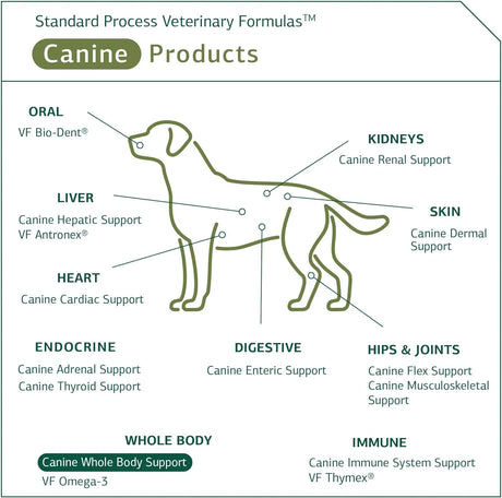 STANDARD PROCESS - Standard Process Inc. Canine Whole Body Support 25Gr. - The Red Vitamin MX - Multivitamínicos Para Perros - {{ shop.shopifyCountryName }}