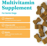 SOLID GOLD - Solid Gold Senior Dog Multivitamin 120 Masticables - The Red Vitamin MX - Multivitamínicos Para Perros - {{ shop.shopifyCountryName }}