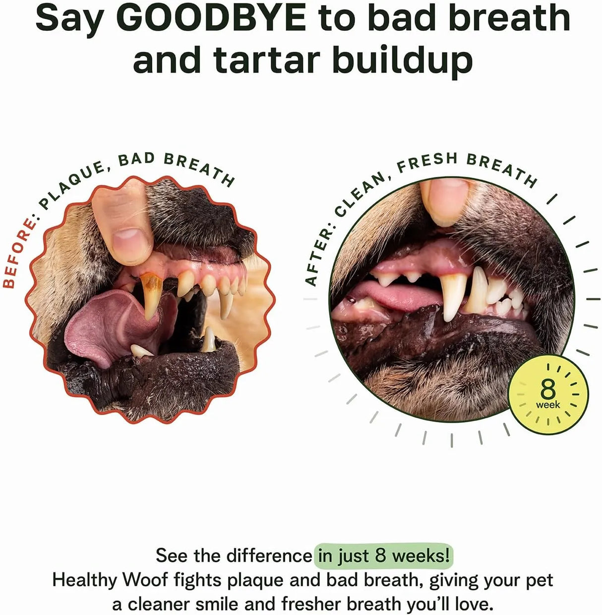 HEALTHY WOOF - HEALTHY WOOF Dental Powder for Dogs 120Gr. - The Red Vitamin MX - Cuidado Dental Para Perros - {{ shop.shopifyCountryName }}