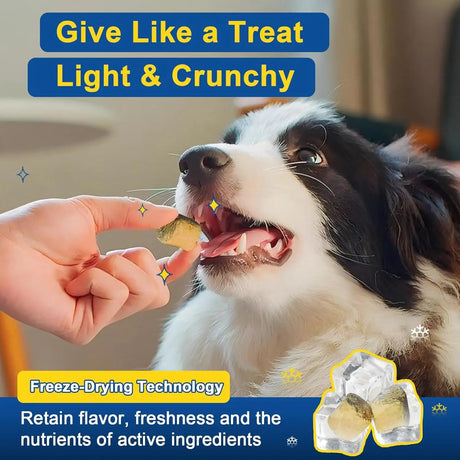 SHINEPAWS - SHINEPAWS Dog Allergy Relief Chews 120 Masticables - The Red Vitamin MX - Remedios Para La Picazón De Perros - {{ shop.shopifyCountryName }}
