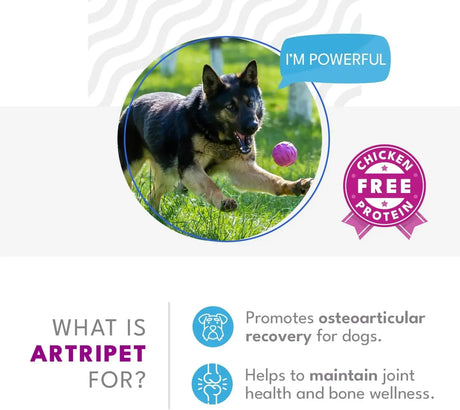 NATURAL PET - Natural Pet Artripet Joint Support 30 Paquetes - The Red Vitamin MX - Cuidado De Cadera Y Articulaciones Para Perros - {{ shop.shopifyCountryName }}