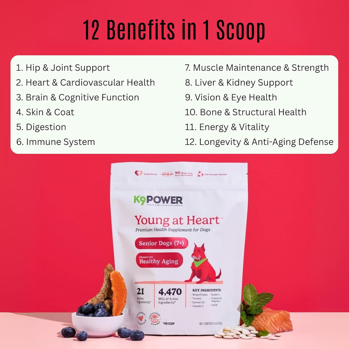 K9 Power Young at Heart Senior Dog Multivitamin 454Gr.