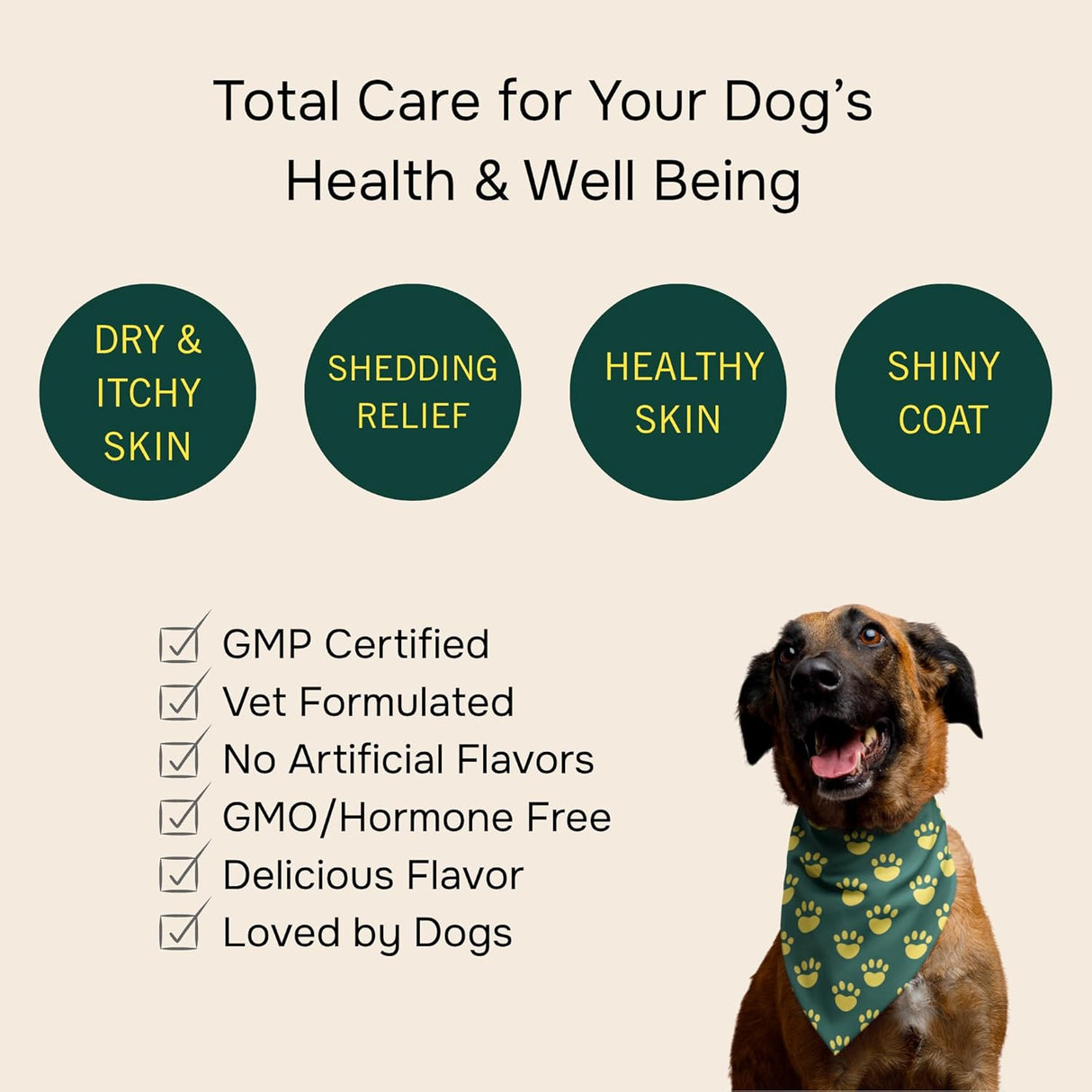 PetMeds Skin & Coat Chews for Dogs 60 Masticables
