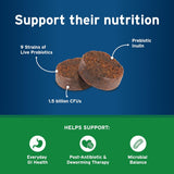 Pet Protect Digestive Health Supplement with Probiotics for Dogs 60 Masticables