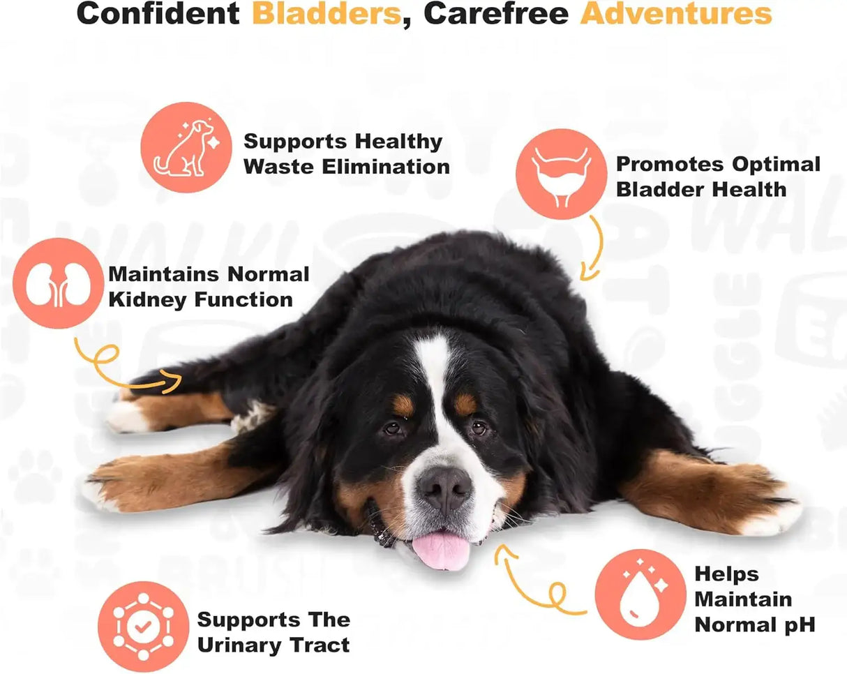 DOGGIE DAILIES - Doggie Dailies Cranberry Supplement for Dogs Chicken Flavored 225 Masticables - The Red Vitamin MX - Salud De Tracto Urinario Para Perros - {{ shop.shopifyCountryName }}