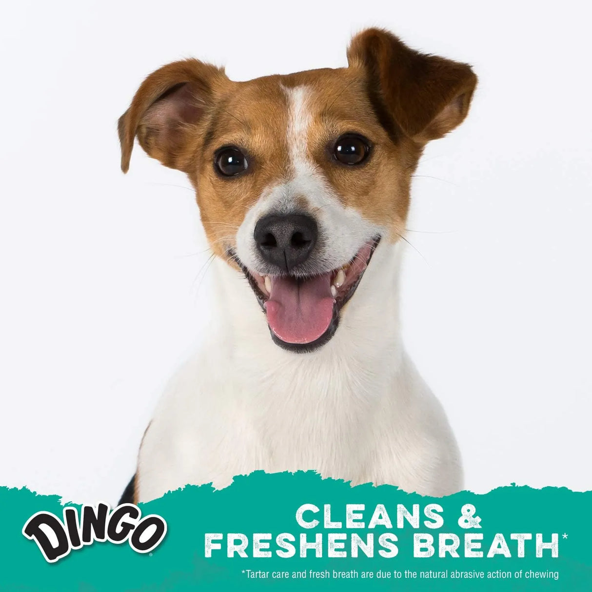 DINGO - Dingo Dental Spirals for Tarter Control and Freshening Breath Large Dogs 15 Piezas - The Red Vitamin MX - Cuidado Dental Para Perros - {{ shop.shopifyCountryName }}