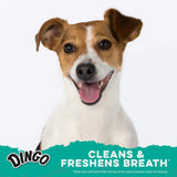 DINGO - Dingo Dental Spirals for Tarter Control and Freshening Breath Large Dogs 15 Piezas - The Red Vitamin MX - Cuidado Dental Para Perros - {{ shop.shopifyCountryName }}