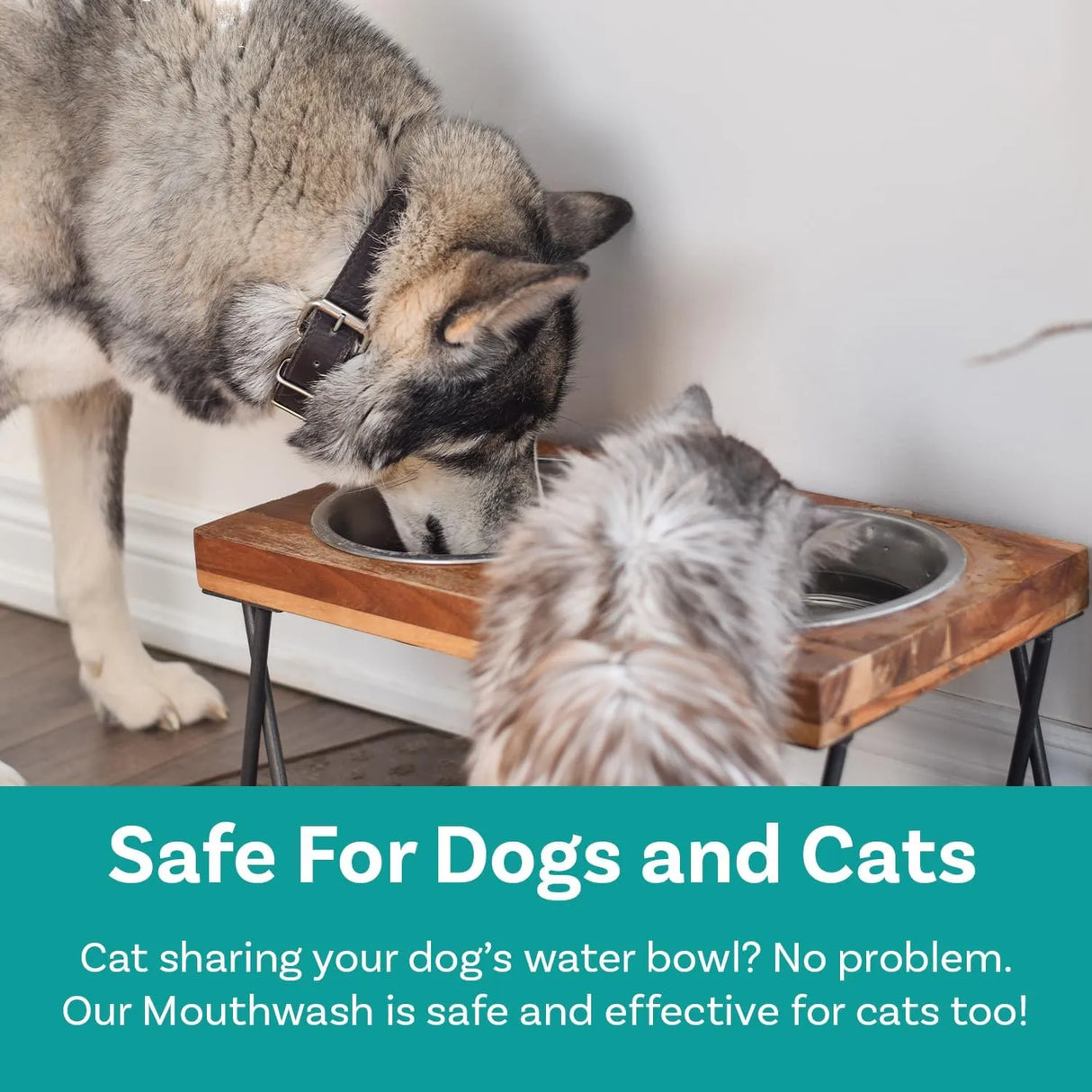 PAWSAFE - PawSafe Dog Mouthwash Dental Water Additive 473Ml. - The Red Vitamin MX - Cuidado Dental Para Perros - {{ shop.shopifyCountryName }}
