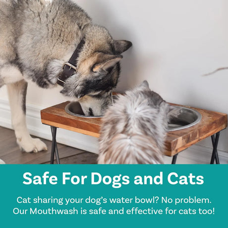 PAWSAFE - PawSafe Dog Mouthwash Dental Water Additive 473Ml. - The Red Vitamin MX - Cuidado Dental Para Perros - {{ shop.shopifyCountryName }}