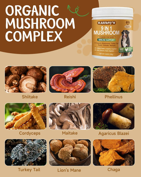 SANTKOL - SANTKOL Mushroom Supplement for Dogs 100 Servicios 100Gr. - The Red Vitamin MX - Suplementos Herbales Para Perros - {{ shop.shopifyCountryName }}