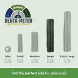 ARK NATURALS - ARK NATURALS Brushless Toothpaste Dog Dental Chews for Large Breeds 508Gr. - The Red Vitamin MX - Cuidado Dental Para Perros - {{ shop.shopifyCountryName }}