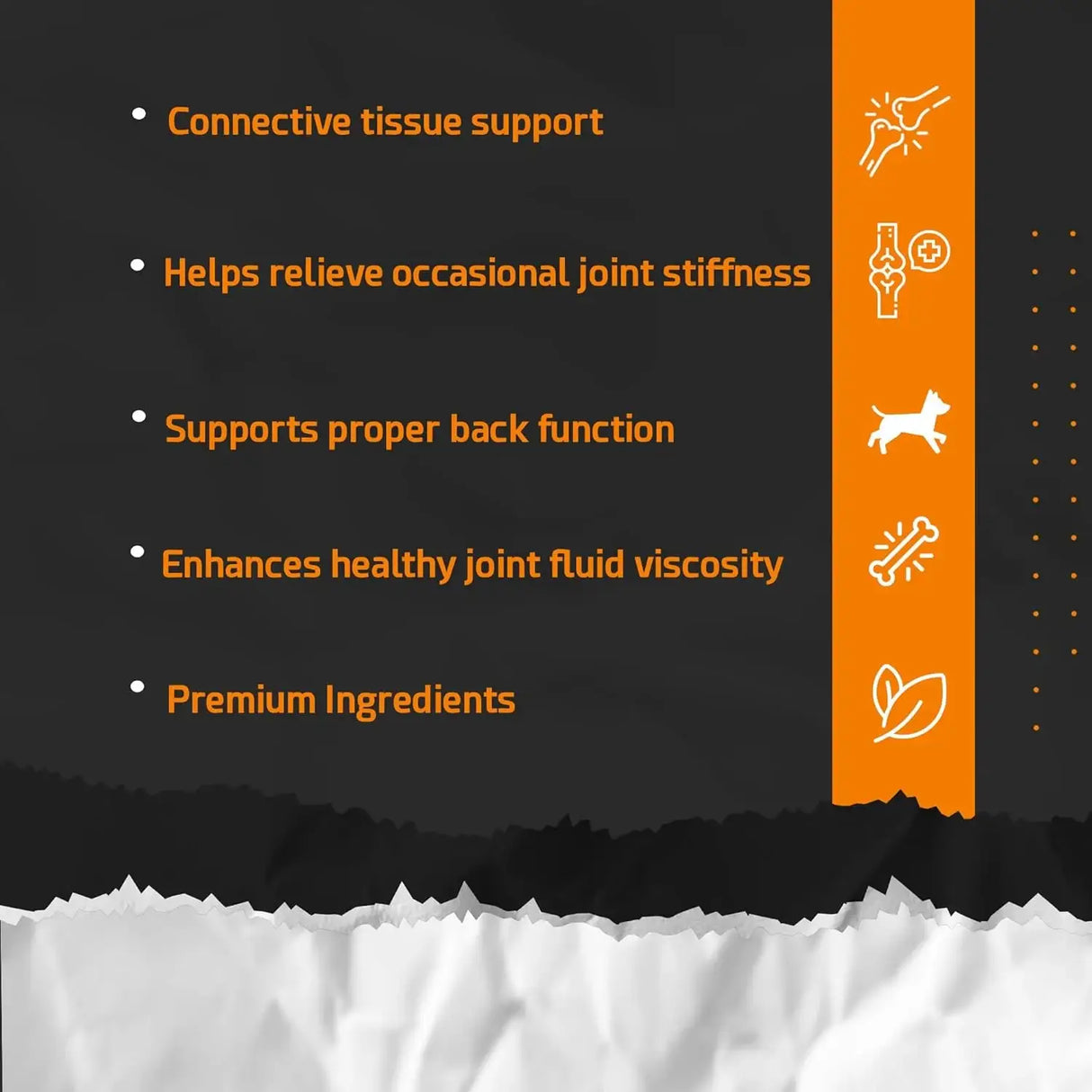 POINTPET - PointPet Hip & Joint Glucosamine for Dogs Peanut Butter & Pumpkin Flavor 120 Masticables - The Red Vitamin MX - Cuidado De Cadera Y Articulaciones Para Perros - {{ shop.shopifyCountryName }}