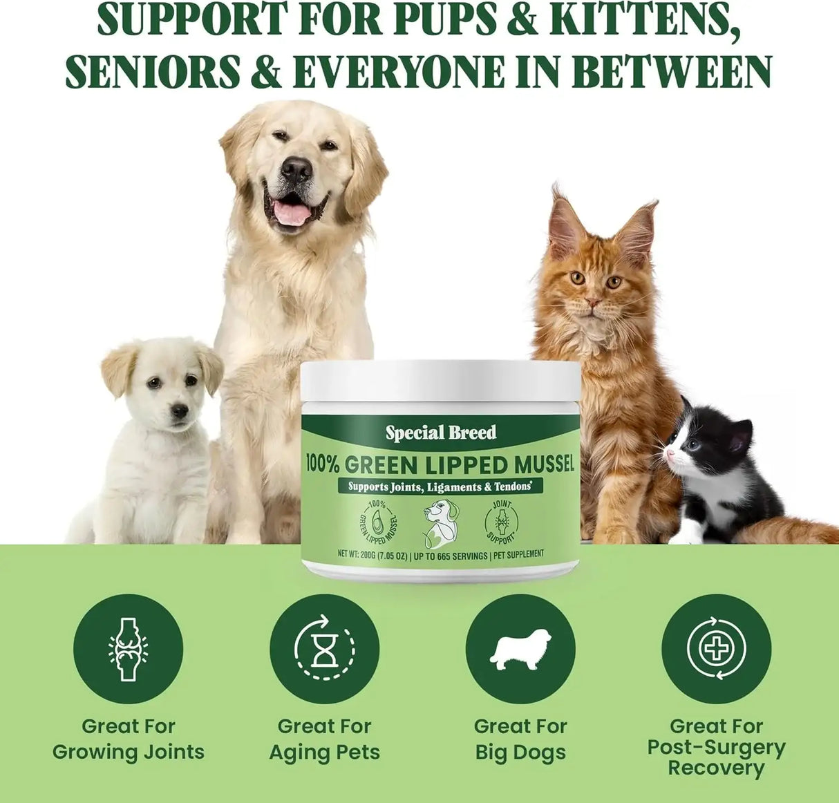 SPECIAL BREED - Special Breed Green Lipped Mussel Powder for Dogs & Cats 200Gr. - The Red Vitamin MX - Cuidado De Cadera Y Articulaciones Para Perros - {{ shop.shopifyCountryName }}