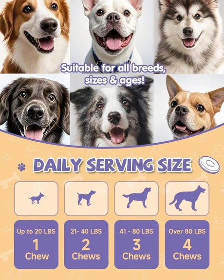 EAGOU DIARY - Eagou Diary Hip and Joint Supplement for Dogs 120 Masticables - The Red Vitamin MX - Cuidado De Cadera Y Articulaciones Para Perros - {{ shop.shopifyCountryName }}