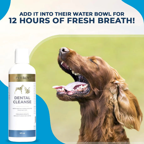 PETSCY - Petscy Dental Cleanse All-Natural Cat & Dog 8 Oz. - The Red Vitamin MX - Cuidado Dental Para Perros - {{ shop.shopifyCountryName }}