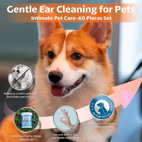 OBSEDE - OBSEDE Ear Cleaner Finger Wipes 60 Toallitas 2 Pack - The Red Vitamin MX - Cuidado Del Oído De Perros - {{ shop.shopifyCountryName }}