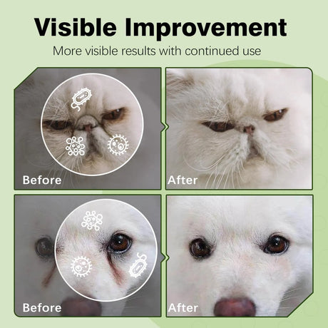 ANCOPAWS - Ancopaws Eye Wipes for Dog & Cat 100 Toallitas - The Red Vitamin MX - Cuidado De Los Ojos De Los Perros - {{ shop.shopifyCountryName }}